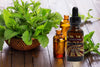 Citrus Mint Beard Oil: Peppermint Essential Oil Based Beard Softener