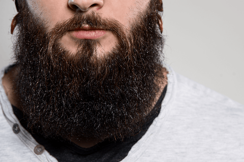 Glossy Beard
